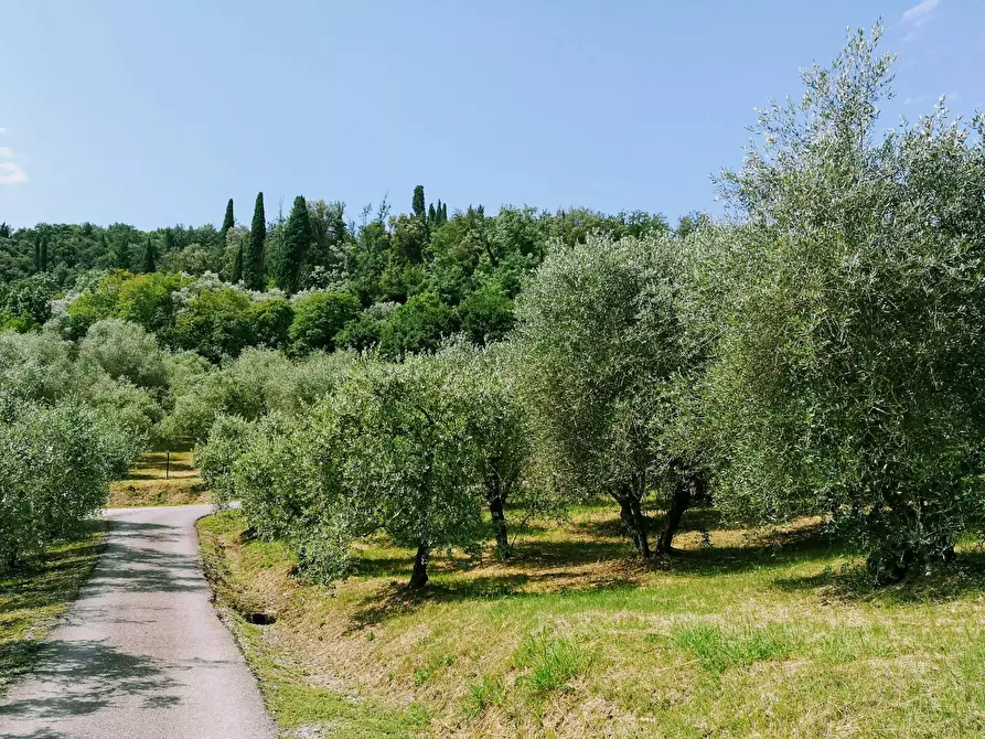 Immagine 4 di Casa indipendente in affitto  in Via Livornese a Lastra A Signa