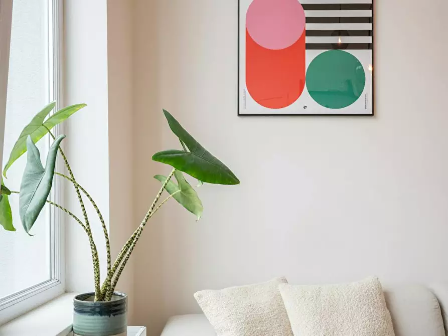 Immagine 5 di Appartamento in affitto  in Chaussée d'Ixelles a Ixelles