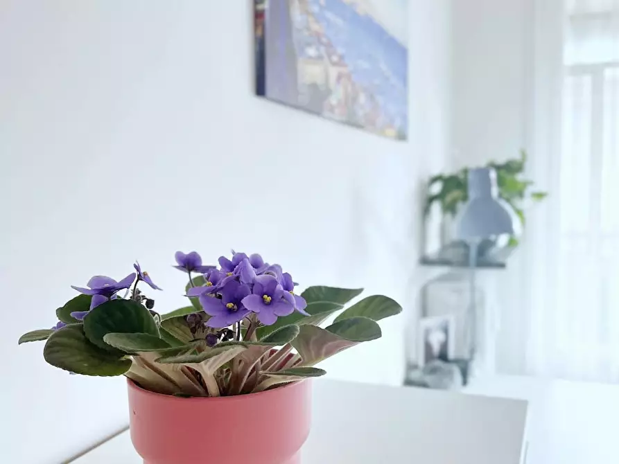 Immagine 9 di Camera in affitto  in Via Tripoli a Padova