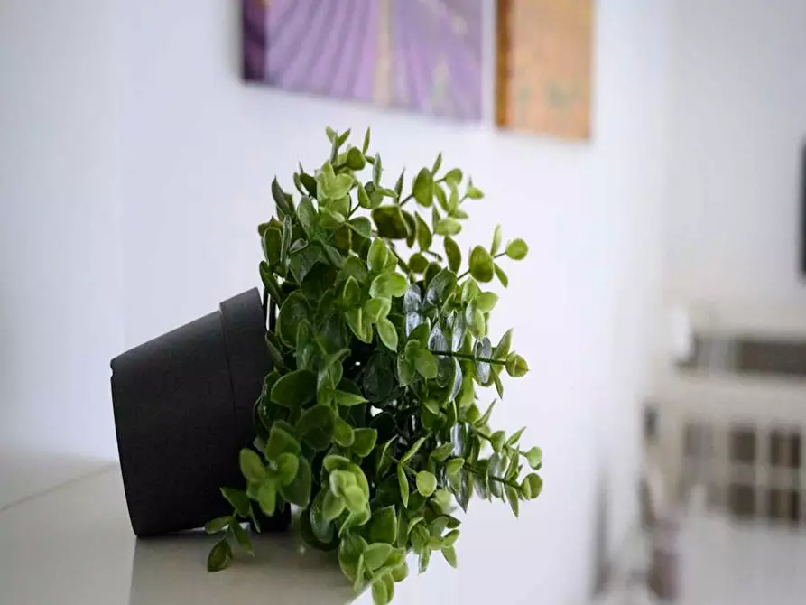 Immagine 9 di Camera in affitto  in Via Ippodromo a Milano