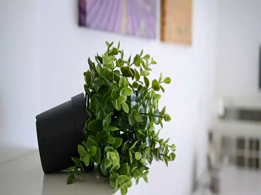 Immagine 6 di Camera in affitto  in Via Ippodromo a Milano