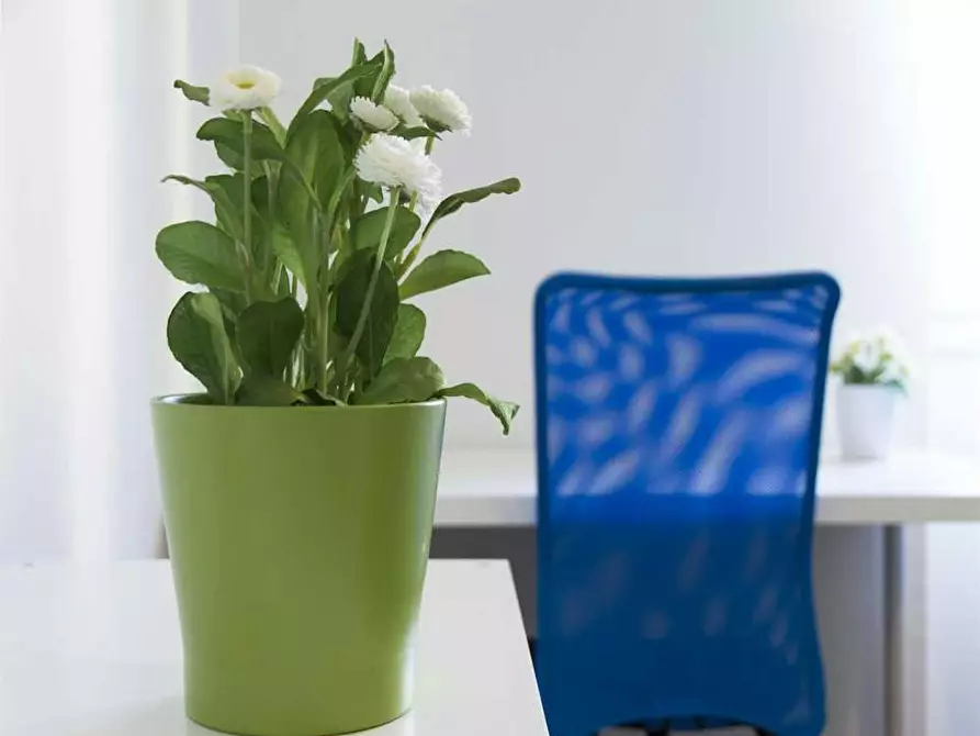 Immagine 6 di Camera in affitto  in Via Salvatore Barzilai a Milano