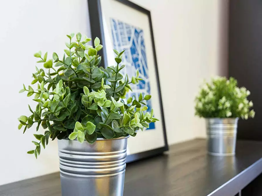 Immagine 2 di Camera in affitto  in Corso di Porta Romana a Milano