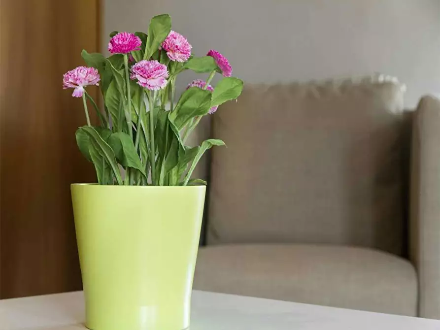 Immagine 4 di Camera in affitto  in Via Pellegrino Rossi a Milano