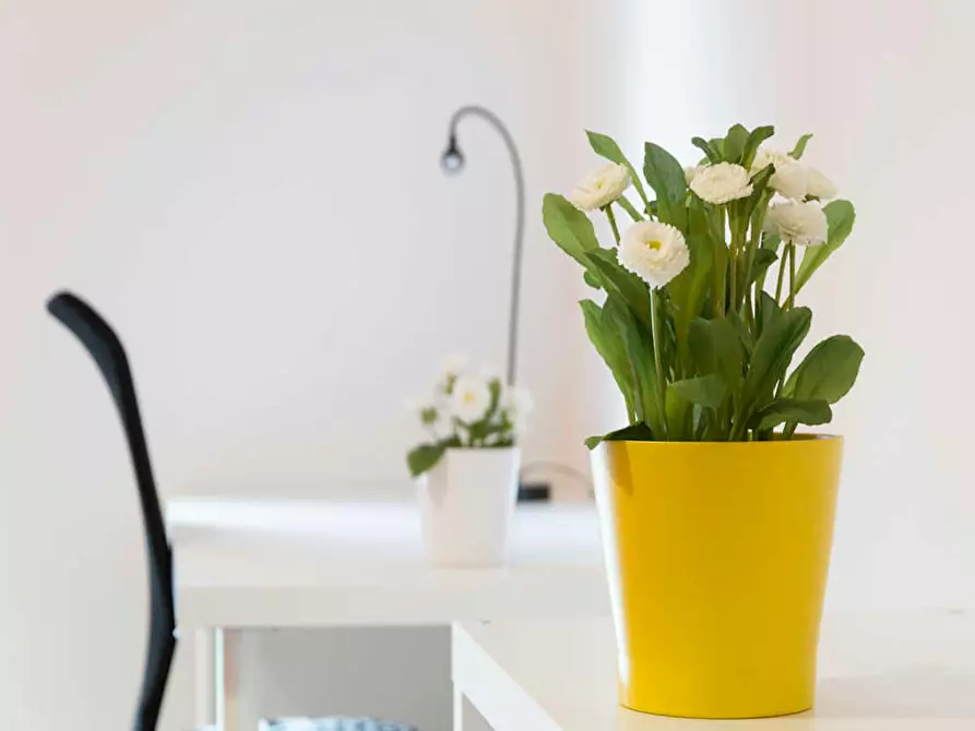 Immagine 8 di Camera in affitto  in Via Giovanni Pezzotti a Milano