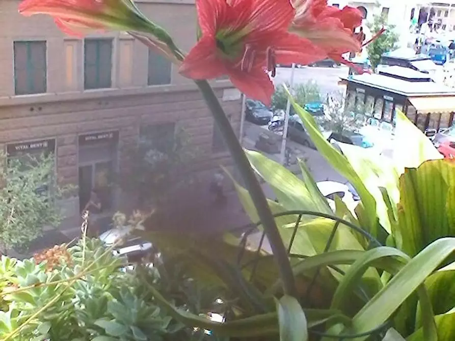 Immagine 3 di Camera condivisa in affitto  in Piazza Bologna a Roma