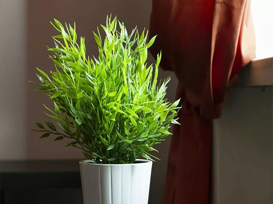 Immagine 10 di Camera in affitto  in Viale Tibaldi a Milano