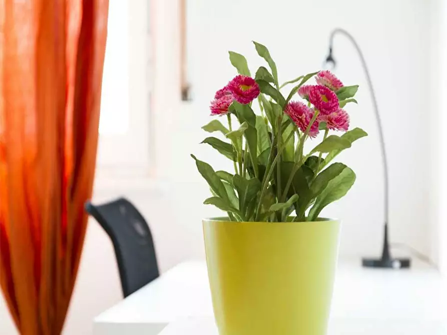 Immagine 8 di Camera in affitto  in Via Salvatore Barzilai a Milano