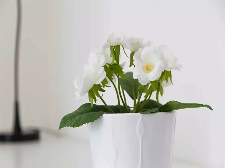 Immagine 9 di Camera in affitto  in Via Giuseppe Bruschetti a Milano