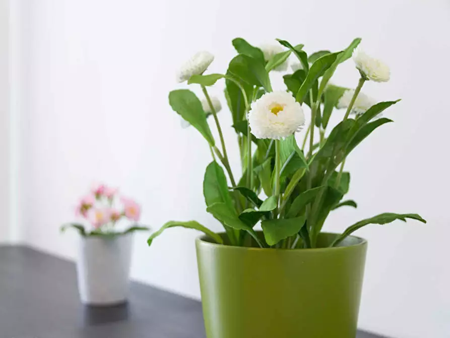 Immagine 8 di Camera in affitto  in Largo Cavalieri di Malta a Milano