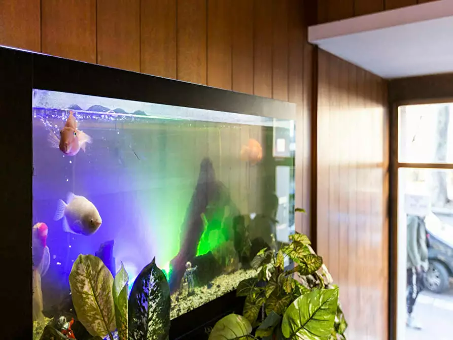 Immagine 9 di Camera in affitto  in Viale Tibaldi a Milano