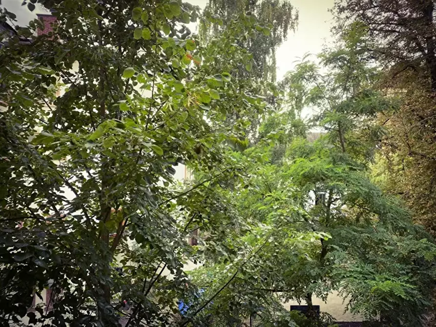 Immagine 6 di Camera in affitto  in Wiesenau a Frankfurt am Main