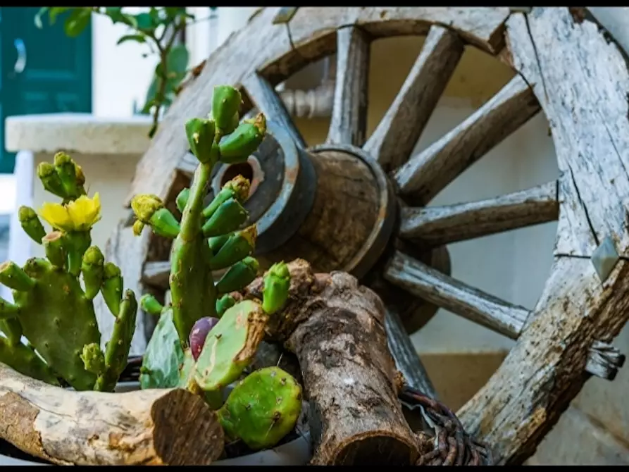 Immagine 6 di Casa indipendente in affitto  in Cortile Agosta a Avola