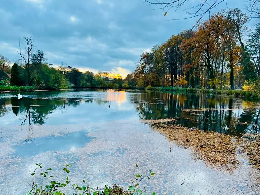 Immagine 4 di Casa indipendente in affitto  in Zur Wassermühle a Stelle