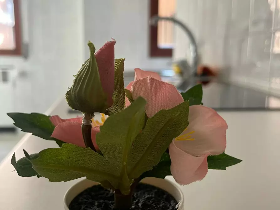 Immagine 3 di Camera in affitto  in Viale Giuseppe Barilli Quirico Filopanti a Bologna