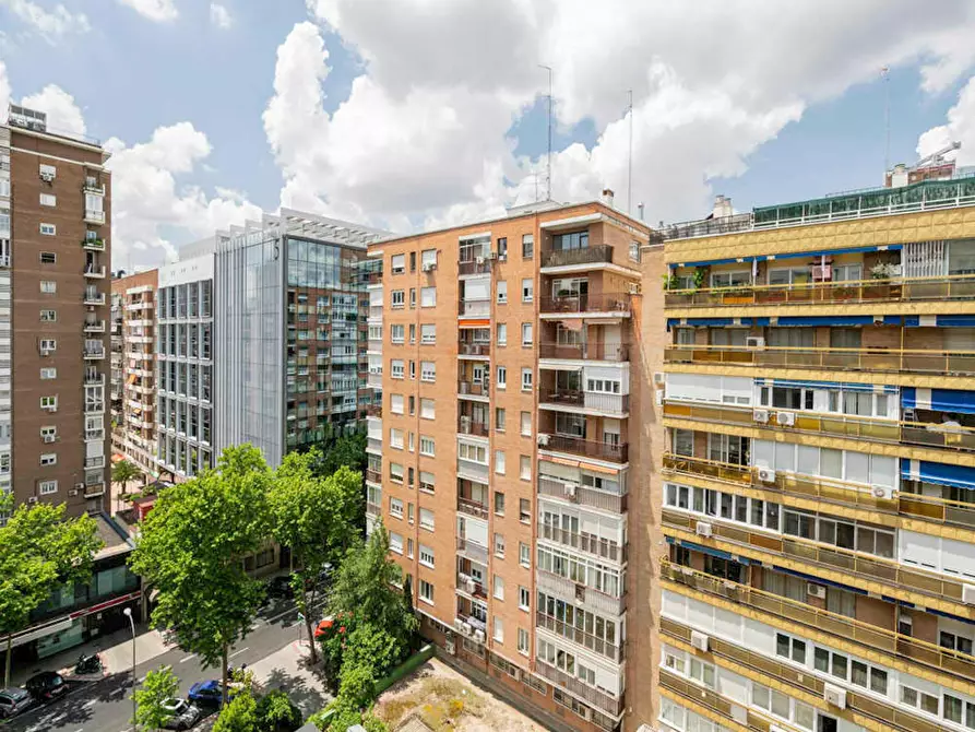 Immagine 9 di Camera in affitto  in Paseo de la Castellana a Madrid