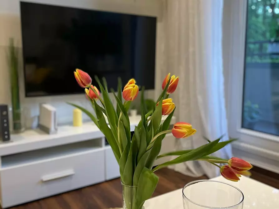 Immagine 5 di Appartamento in affitto  in Boeselagerstraße a Münster
