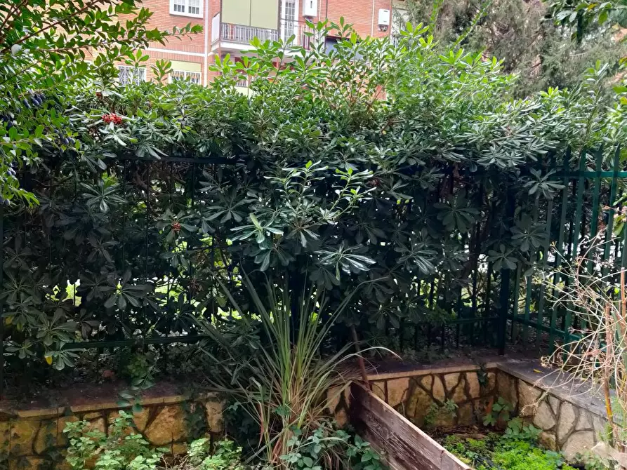 Immagine 7 di Camera in affitto  in Via Montebruno a Roma