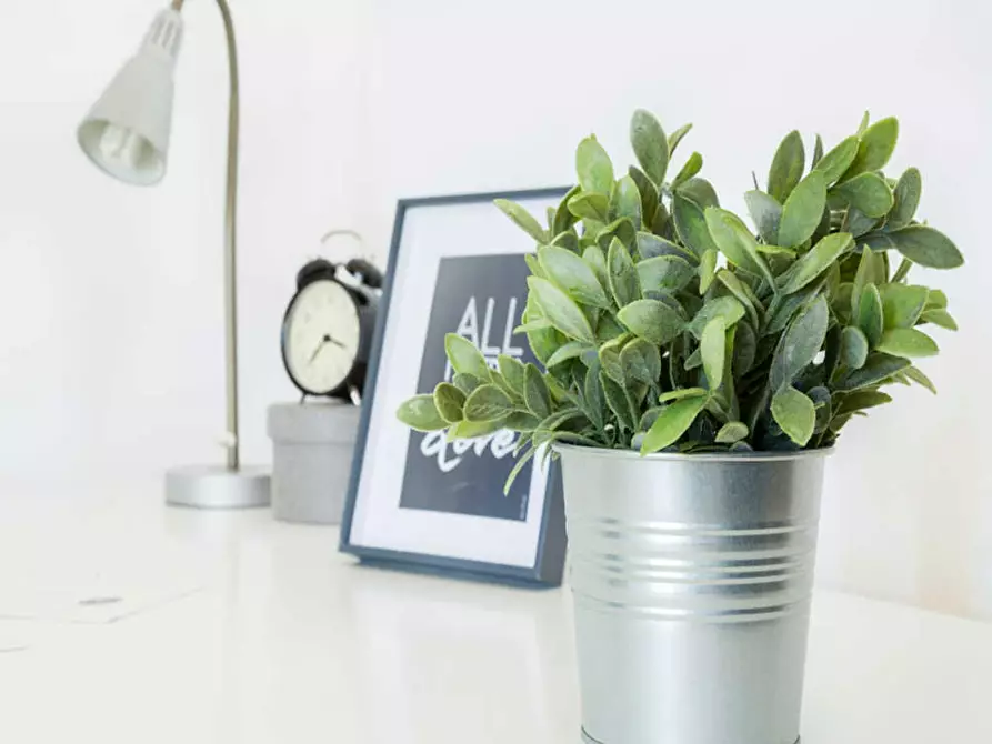 Immagine 8 di Camera in affitto  in Via Adele Martignoni a Milano