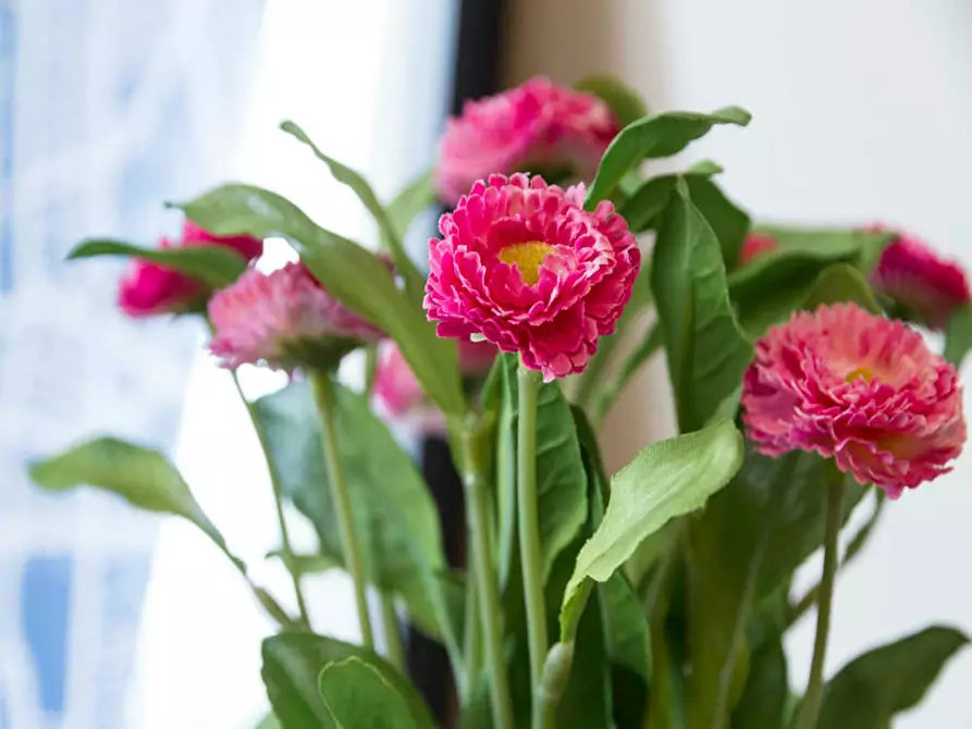 Immagine 9 di Camera in affitto  in Via Raffaello Bertieri a Milano