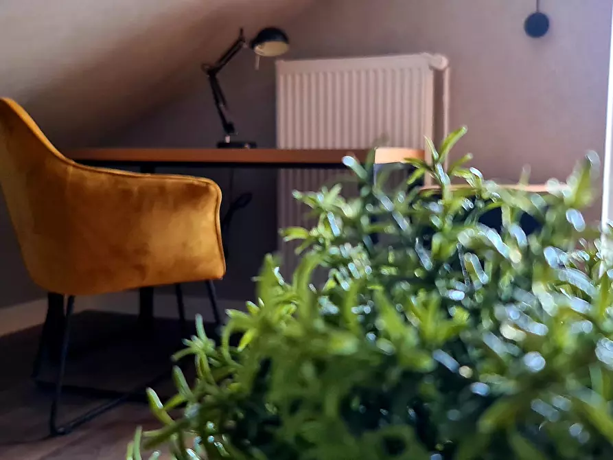 Immagine 7 di Appartamento in affitto  in Nöhrenkoppel a Dänischenhagen