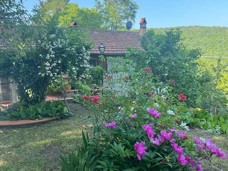 Immagine 3 di Casa indipendente in affitto  in Via di Poggio a Londa