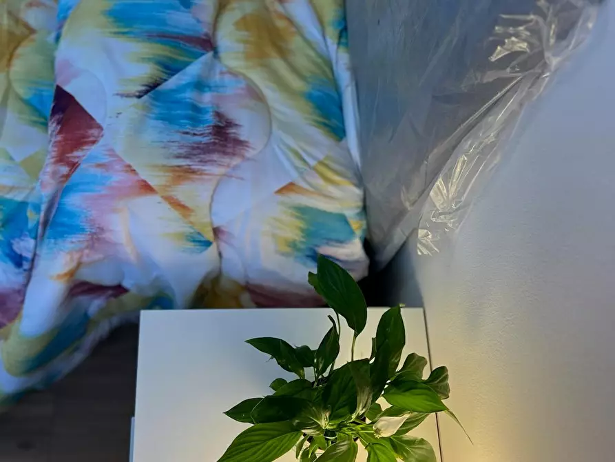 Immagine 3 di Camera in affitto  in Corso Racconigi a Torino