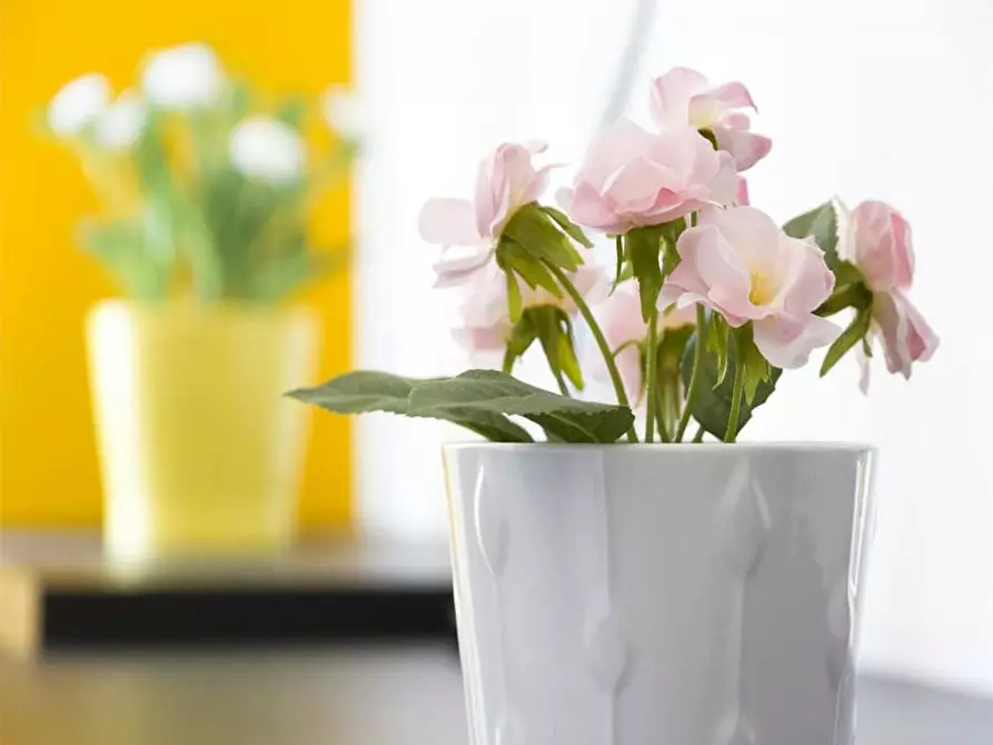 Immagine 6 di Camera in affitto  in Viale Sabotino a Milano