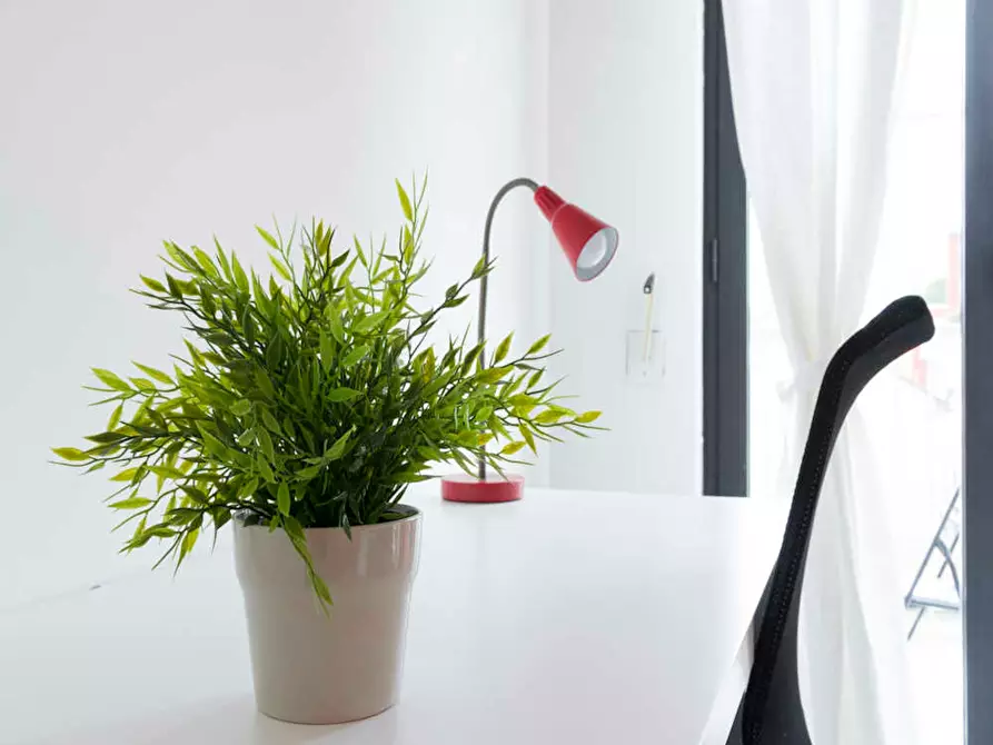 Immagine 9 di Camera in affitto  in Via Luigi Porro Lambertenghi a Milano