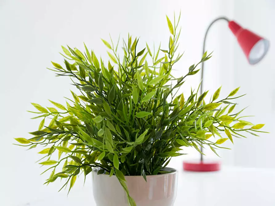 Immagine 3 di Camera in affitto  in Via Luigi Porro Lambertenghi a Milano