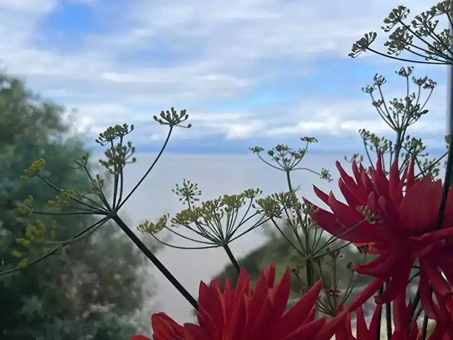 Immagine 3 di Appartamento in affitto  in Wellington Terrace a Clevedon