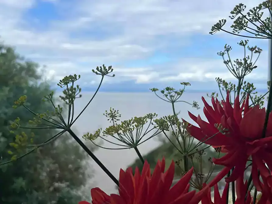 Immagine 2 di Appartamento in affitto  in Wellington Terrace a Clevedon