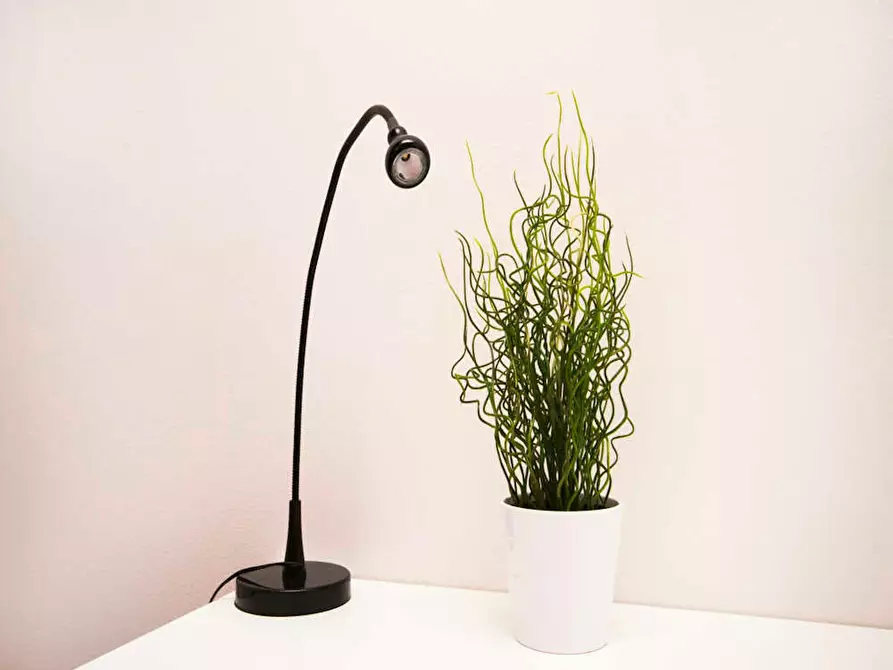 Immagine 6 di Camera in affitto  in Via Vincenzo Foppa a Milano