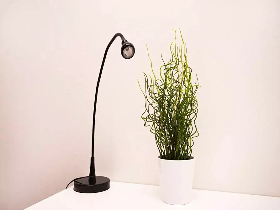 Immagine 5 di Camera in affitto  in Via Vincenzo Foppa a Milano