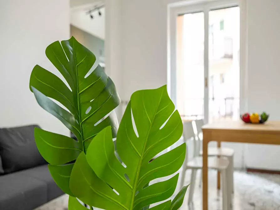 Immagine 8 di Camera in affitto  in Via Rodolfo Carabelli a Milano