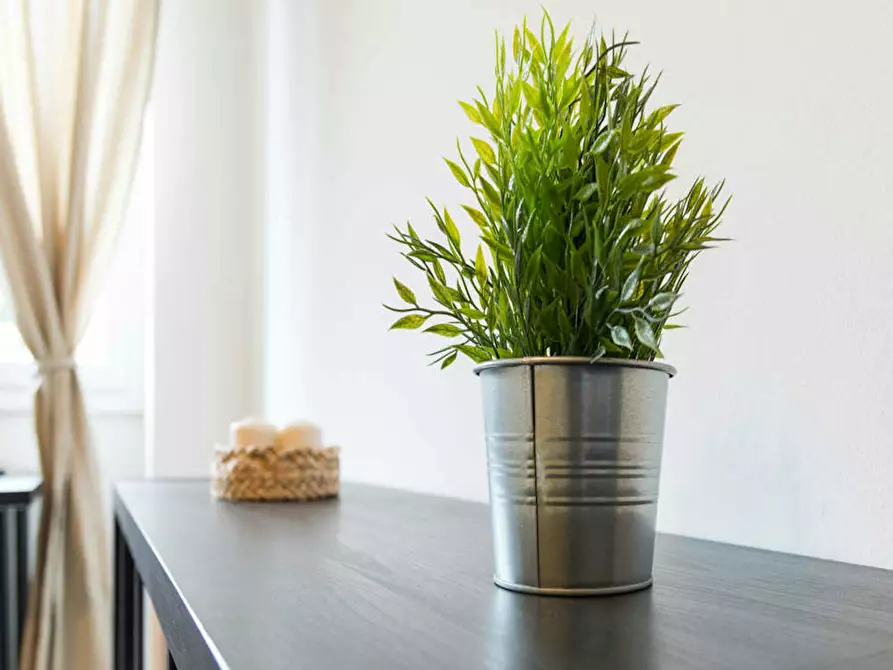 Immagine 7 di Camera in affitto  in Via Giuseppe Bruschetti a Milano