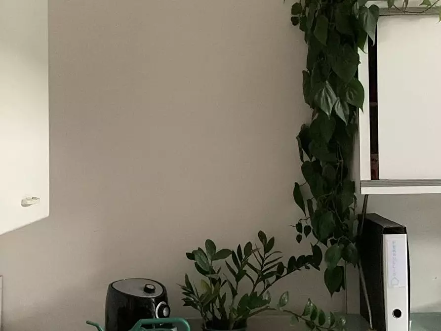 Immagine 7 di Camera in affitto  in Via Antonio Bronzino a Firenze