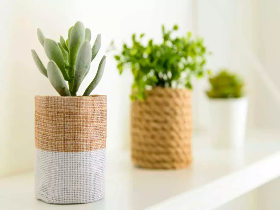 Immagine 9 di Camera in affitto  in Via Abelardo Pecorini a Milano