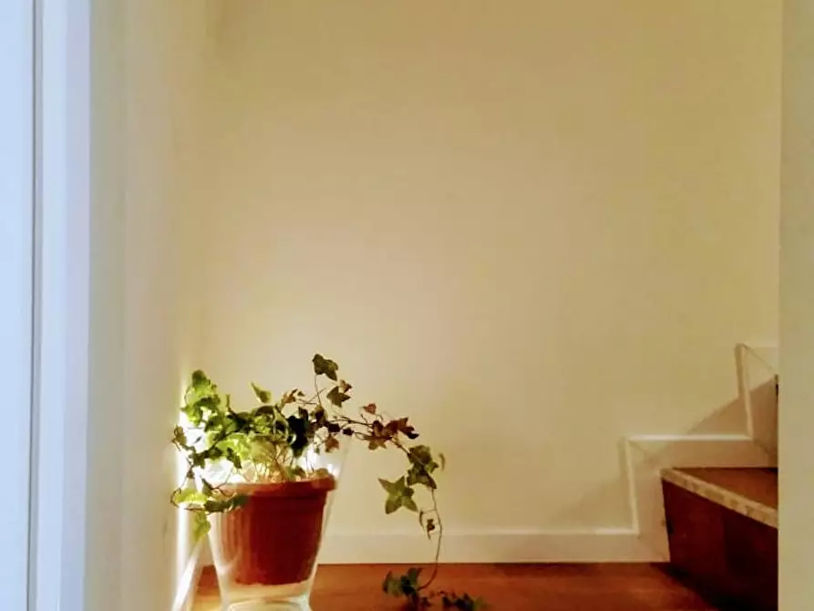 Immagine 9 di Camera in affitto  in Alzaia Naviglio Pavese a Milano