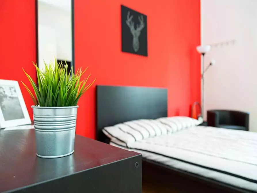 Immagine 4 di Camera in affitto  in Via dei Mandorli a Buccinasco