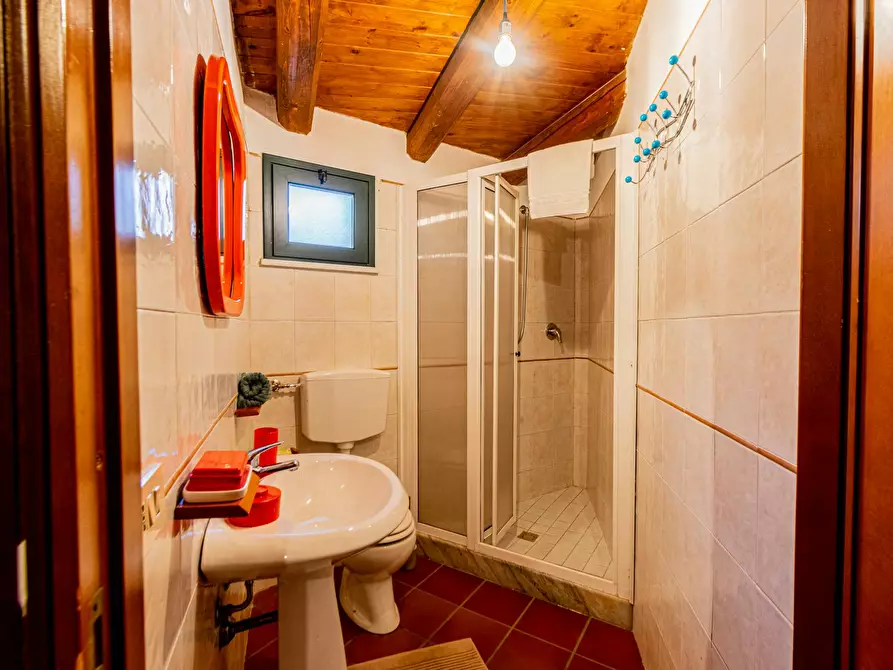 Immagine 6 di Appartamento in affitto  in Via Papa Sergio I a Palermo