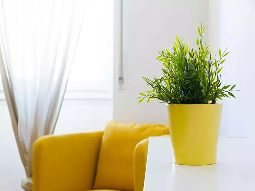 Immagine 9 di Camera in affitto  in Via Giuseppe Bruschetti a Milano