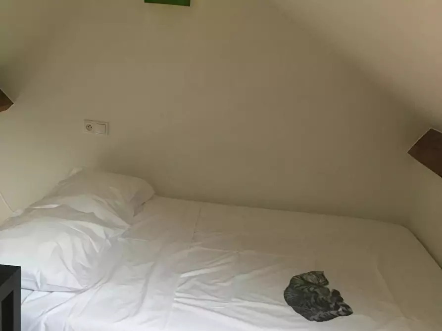 Immagine 7 di Appartamento in affitto  in Annonciadenstraat a Gent