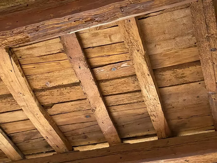 Immagine 6 di Appartamento in affitto  in Costa San Giorgio a Firenze