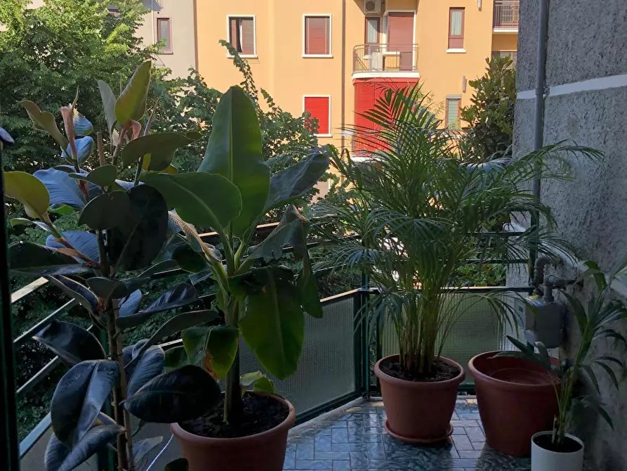 Immagine 3 di Appartamento in affitto  in Via degli Imbriani a Milano