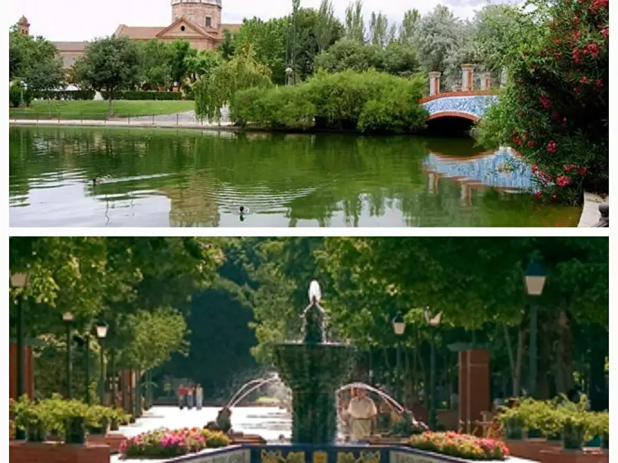 Immagine 10 di Camera in affitto  in Calle Bruselas a Talavera De La Reina