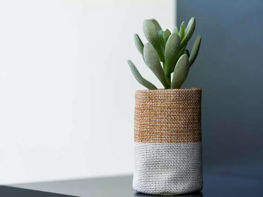 Immagine 6 di Camera in affitto  in Via Raffaello Bertieri a Milano