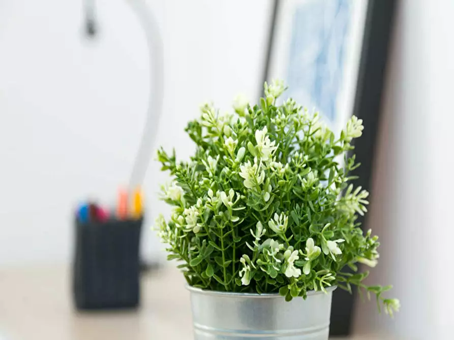 Immagine 6 di Camera in affitto  in Via Andrea Costa a Milano