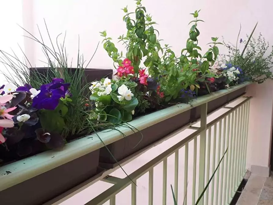 Immagine 8 di Appartamento in affitto  in Via Disciplini a Riva Del Garda