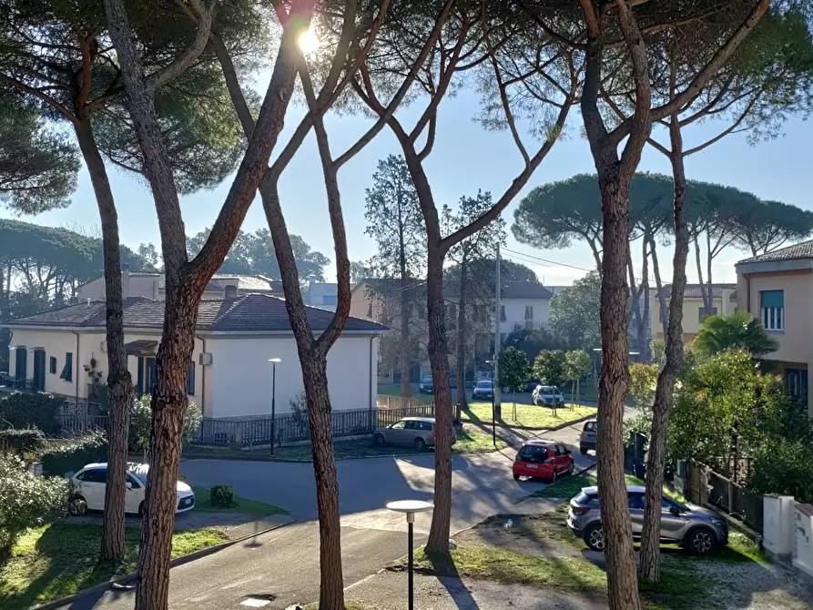 Immagine 1 di Camera in affitto  in Via Andrea Costa a Pisa